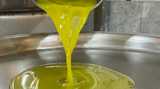 Intro to EVOO: The Dance of Nature and Craft